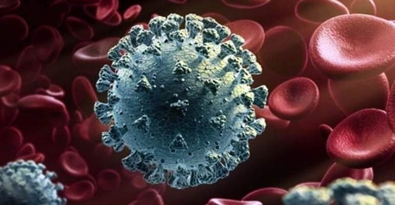 Covid-19 In India: केरल में रिपोर्ट हुए कोविड के 300 नए केस, 6 की मौत, हैरान कर देगी एक्टिव केस की संख्या 1 Covid-19 In India