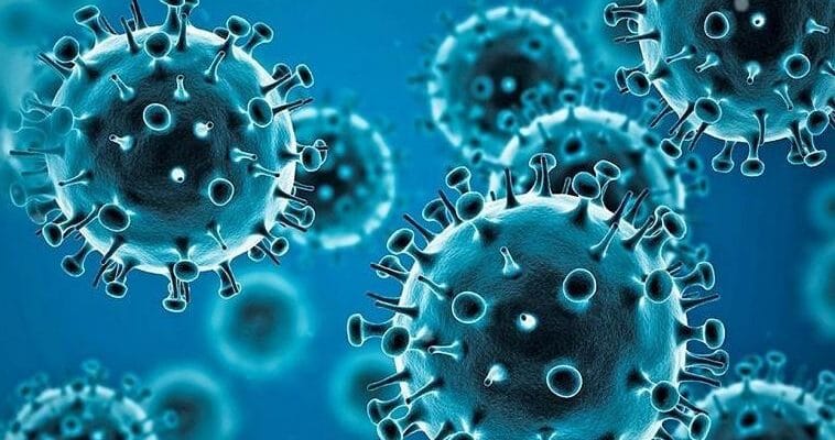 Covid-19 Case In Mumbai: मुंबई में फिर बढे़ कोरोना के केस, एक दिन में दर्ज हुए 11 मामले 1 Covid Case In Mumbai