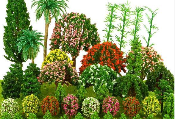 क्या आप जानते हैं, कभी पेड़-पौधे भी सब्ज़ी कहलाते थे? 1 पेड़-पौधे