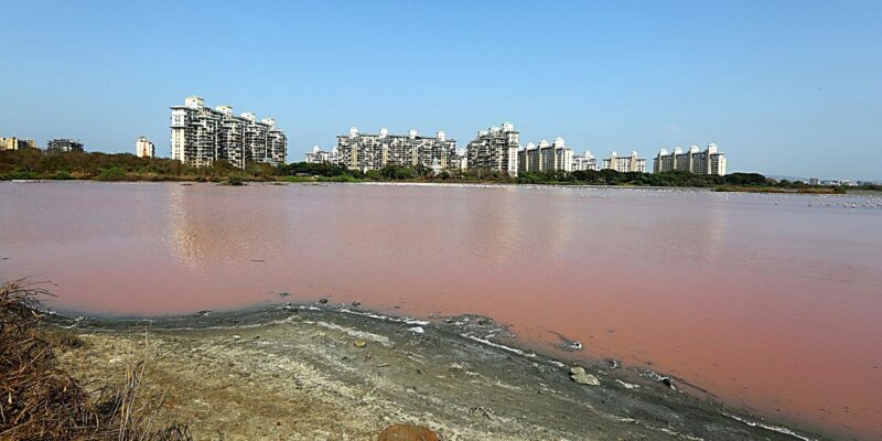 मुंबई में जल संकट से राहत: झीलों का जलस्तर 74% क्षमता पर पहुंचने पर बीएमसी ने पानी की कटौती हटाई