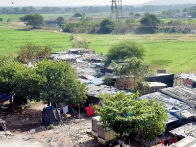 बोरीवली-विरार रेलवे लाइन प्रोजेक्ट: कोर्ट ने दी 2,612 मैंग्रोव काटने की अनुमति