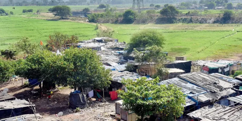 बोरीवली-विरार रेलवे लाइन प्रोजेक्ट: कोर्ट ने दी 2,612 मैंग्रोव काटने की अनुमति