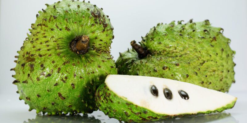 Benefits of Soursop Fruit: धतूरे जैसा दिखने वाला चमत्कारी फल, जिसके फायदे जानकर रह जाएंगे हैरान 1 Benefits of Soursop Fruit: धतूरे जैसा दिखने वाला चमत्कारी फल, जिसके फायदे जानकर रह जाएंगे हैरान