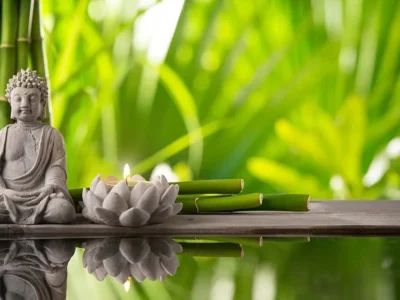 Feng Shui Tips: घर में पॉजिटिव एनर्जी बढ़ाने के लिए करें ये फेंगशुई उपाय