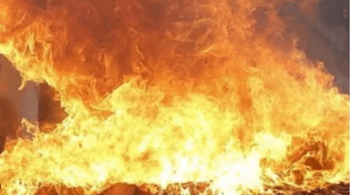 Breaking News: मुंबई के मलाड ईस्ट में लगी भीषण आग, कई गोदाम जलकर हुए राख 1 मलाड