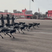 Indian Army's Robotic Dogs:कितने काम के हैं इंडियन आर्मी के ये रोबोटिक डॉग, जिन्होंने गणतंत्र दिवस में की है परेड?