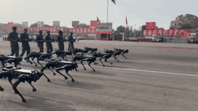 Indian Army's Robotic Dogs:कितने काम के हैं इंडियन आर्मी के ये रोबोटिक डॉग, जिन्होंने गणतंत्र दिवस में की है परेड?