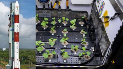 Space Seed Germination: ISRO ने कर दिखाया कमाल; अंतरिक्ष में अंकुरित कराए बीज, पत्ते निकलने की भी उम्मीद