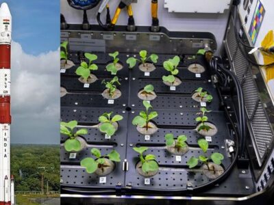 Space Seed Germination: ISRO ने कर दिखाया कमाल; अंतरिक्ष में अंकुरित कराए बीज, पत्ते निकलने की भी उम्मीद