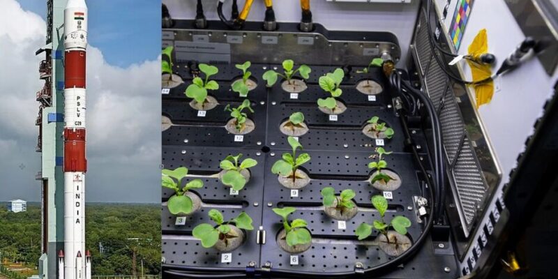 Space Seed Germination: ISRO ने कर दिखाया कमाल; अंतरिक्ष में अंकुरित कराए बीज, पत्ते निकलने की भी उम्मीद