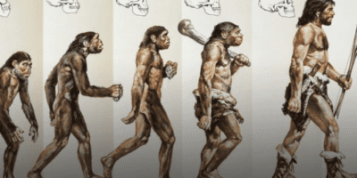 होमोसेपियन्स