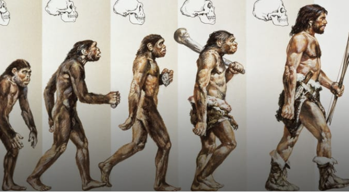 आखिर क्यों दुनिया में केवल एक ही प्रजाति बची है मानव की? जानें क्या कहता है विज्ञान 1 होमोसेपियन्स