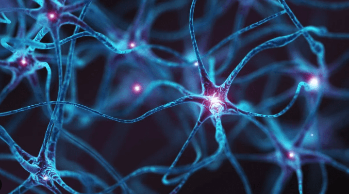 मुंबई में GBS से हुई पहली मौत, 53 साल के व्यक्ति ने गंवाई जान 1 GBS