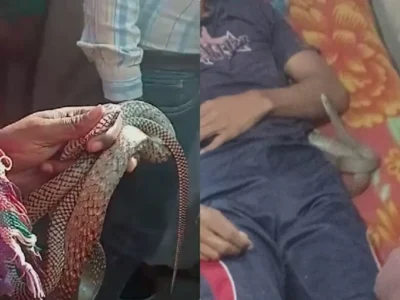 मेरठ