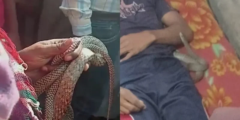 मेरठ