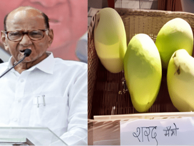शरद पवार