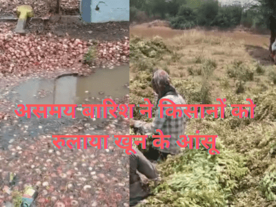 Maharashtra News