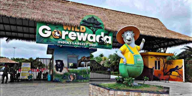 African Safari to Open at Gorewada Zoo: नागपुर के गोरेवाडा जू में जल्द शुरू होगी अफ्रीकी सफारी, 22 प्रजातियों के जानवर होंगे आकर्षण
