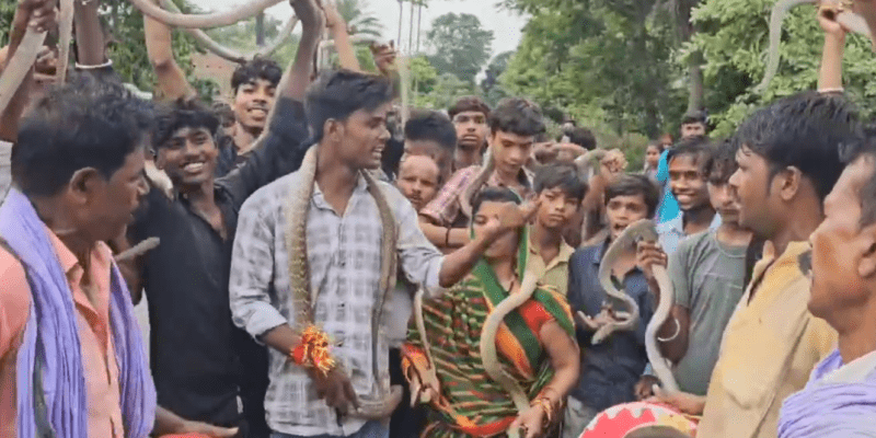 नागपंचमी