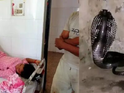 Snake Bites Girl Seven Times: सपने में भी डसता है सांप फिर मुंह से निकलने लगता झाग, साल में 7 बार डस चुका