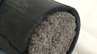 Korean Bamboo Salt: दुनिया का सबसे महंगा नमक; कोरियन बांस नमक की कीमत और फायदे चौंकाने वाले