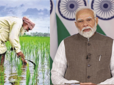 किसानों के लिए पीएम मोदी का दिवाली तोहफा: 42 हजार करोड़ की नई कृषि योजना से बदलेगा खेती का चेहरा 9 पीएम मोदी