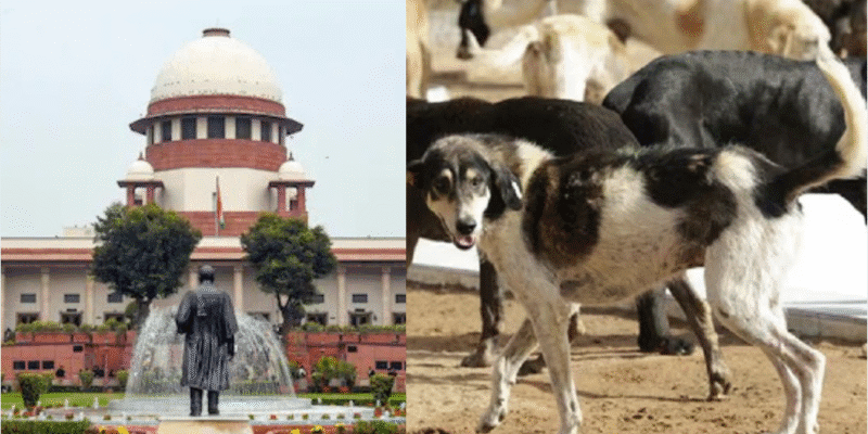 कुत्तों के काटने की घटनाओं पर सुप्रीम कोर्ट सख्त, कहा - “विदेशों में देश की छवि हो रही खराब” 1 सुप्रीम कोर्ट