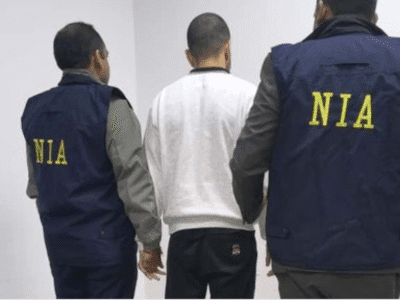 अनमोल बिश्नोई