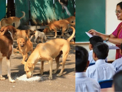 दिल्ली टीचर्स