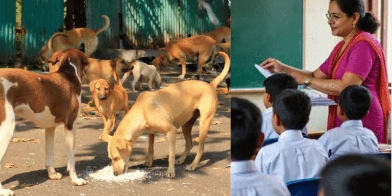 दिल्ली टीचर्स