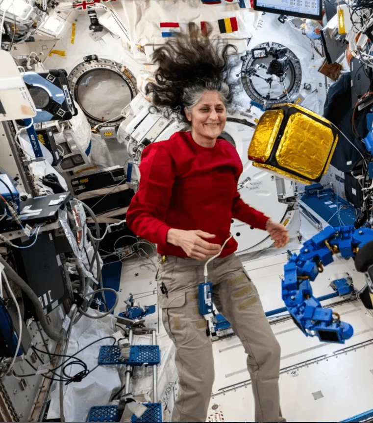 सुनीता विलियम्स