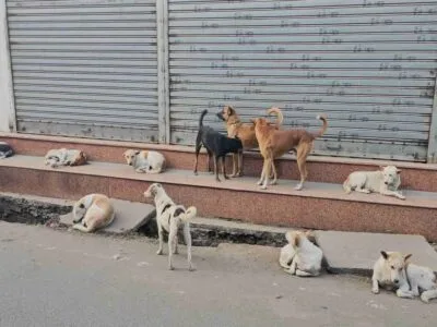 तेलंगाना