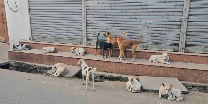 तेलंगाना