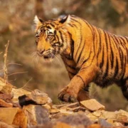 महाराष्ट्र