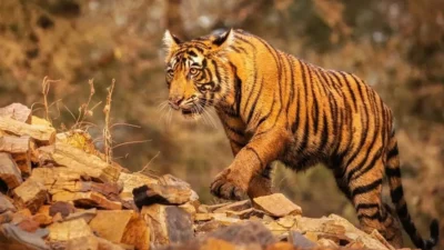 महाराष्ट्र