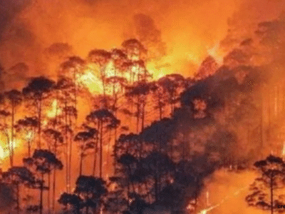 खतरे में हिमालय का सुरक्षा कवच, 3500 मीटर तक पहुँची वनाग्नि, बुग्याल और दुर्लभ जड़ी-बूटियाँ खाक 3 हिमालय
