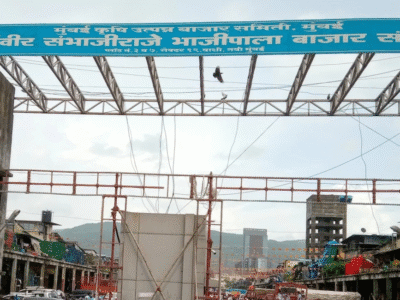 एशिया की सबसे बड़ी मंडी में 'सेस' का महाघोटाला? APMC में 20 साल से नहीं हुई खातों की जांच, करोड़ों के राजस्व पर फिर रहा पानी 2 नवी मुंबई