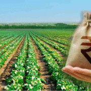 महाराष्ट्र