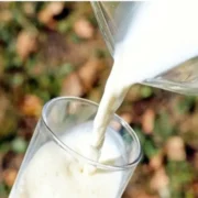 आंध्र प्रदेश