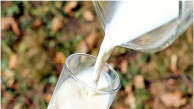 आंध्र प्रदेश