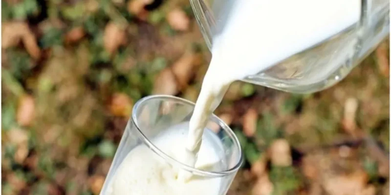 आंध्र प्रदेश में मिलावटी दूध का कहर: 48 घंटे में 4 बुजुर्गों की मौत, 12 अस्पताल में भर्ती, जांच में बड़ा खुलासा 1 आंध्र प्रदेश