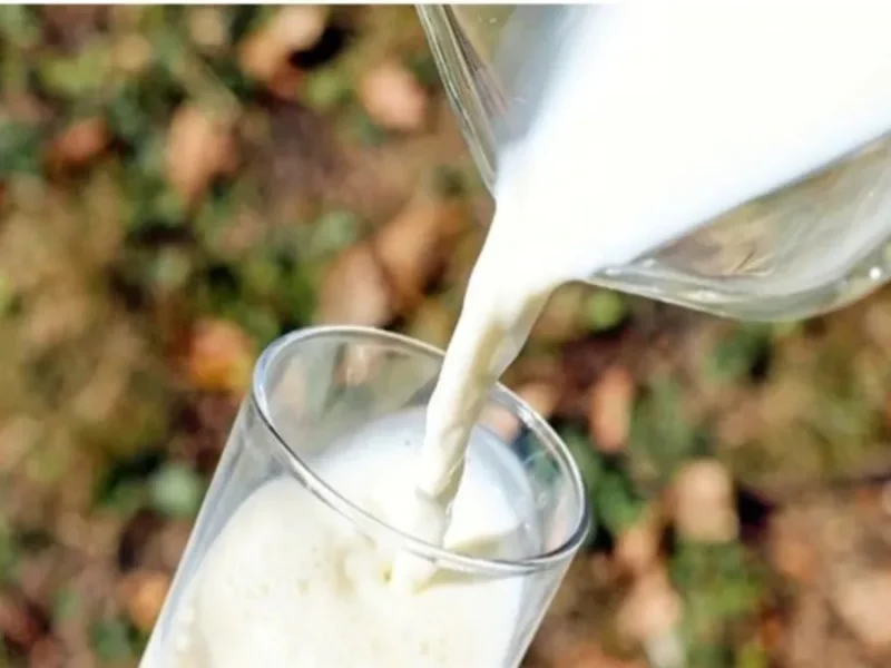 आंध्र प्रदेश