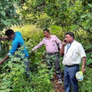 दाऊद इब्राहिम