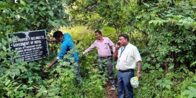 दाऊद इब्राहिम