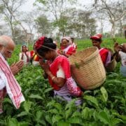 पीएम मोदी