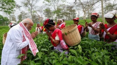 पीएम मोदी