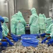 सी-फूड निर्यात