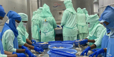 सी-फूड निर्यात