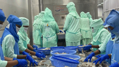 सी-फूड निर्यात