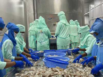 सी-फूड निर्यात